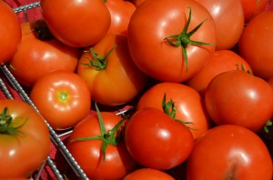 Troy Farmer's Market Tomatoes Raya Ioffe