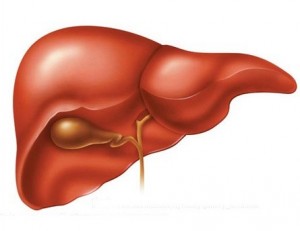 cure-liver-problem