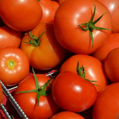 Troy Farmer's Market Tomatoes Raya Ioffe